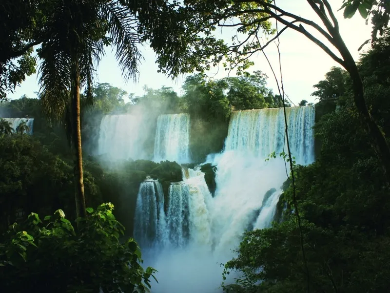 Cataratas cayendo entre la vegetación de la selva