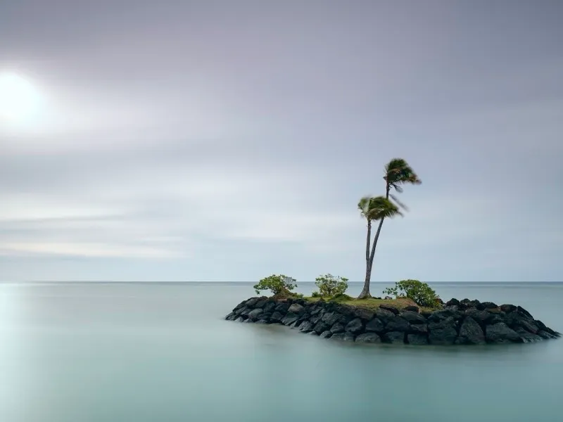 Islote con palmeras frente a una playa de agua calma
